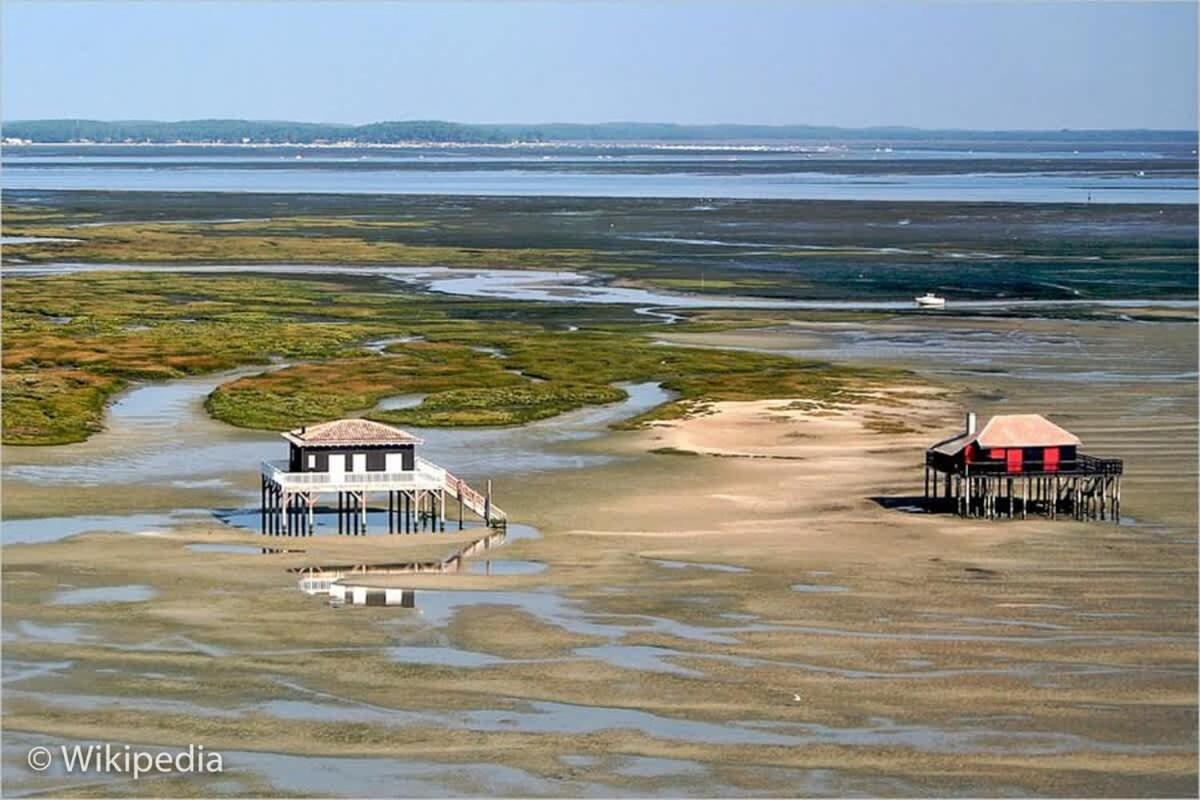 Beautiful Louisiana Villa Sleeps 6 With Pool Mios Exteriör bild