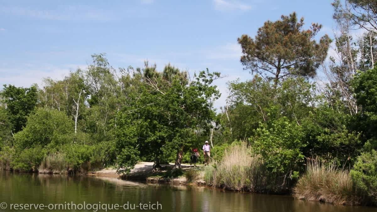 Beautiful Louisiana Villa Sleeps 6 With Pool Mios Exteriör bild